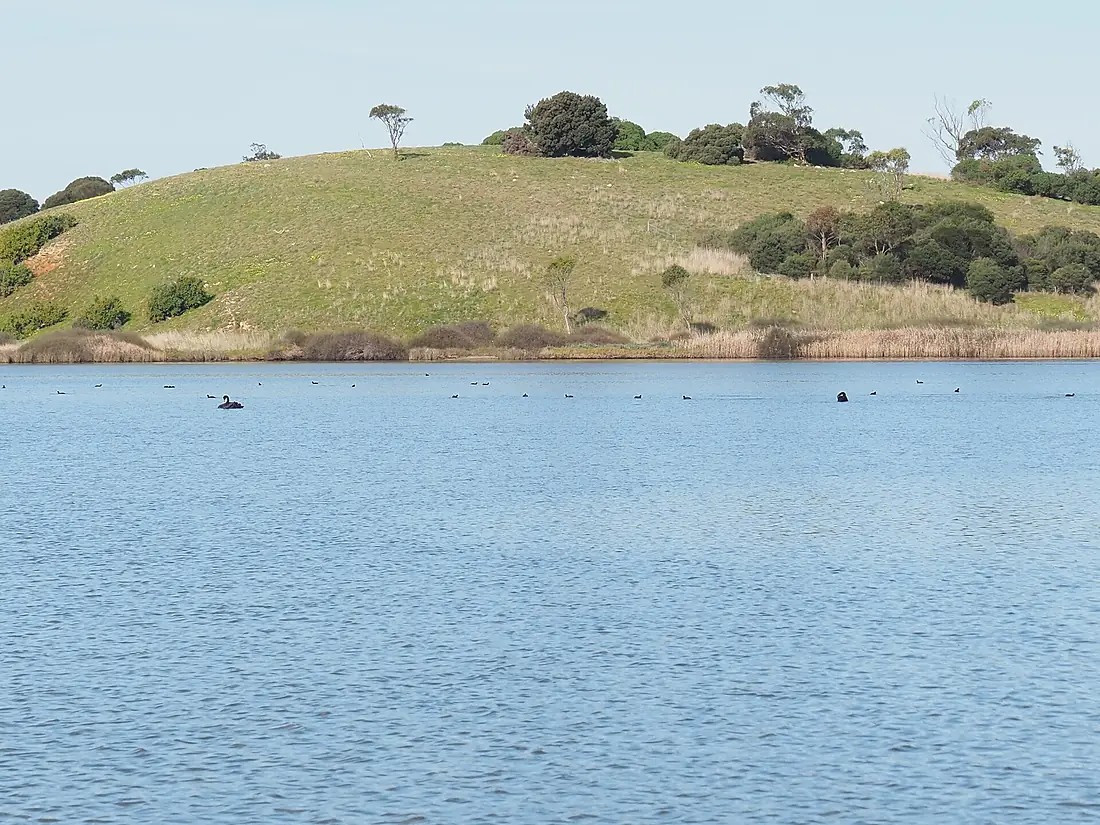 Lake Connewarre - from Tait's Point - MC 02