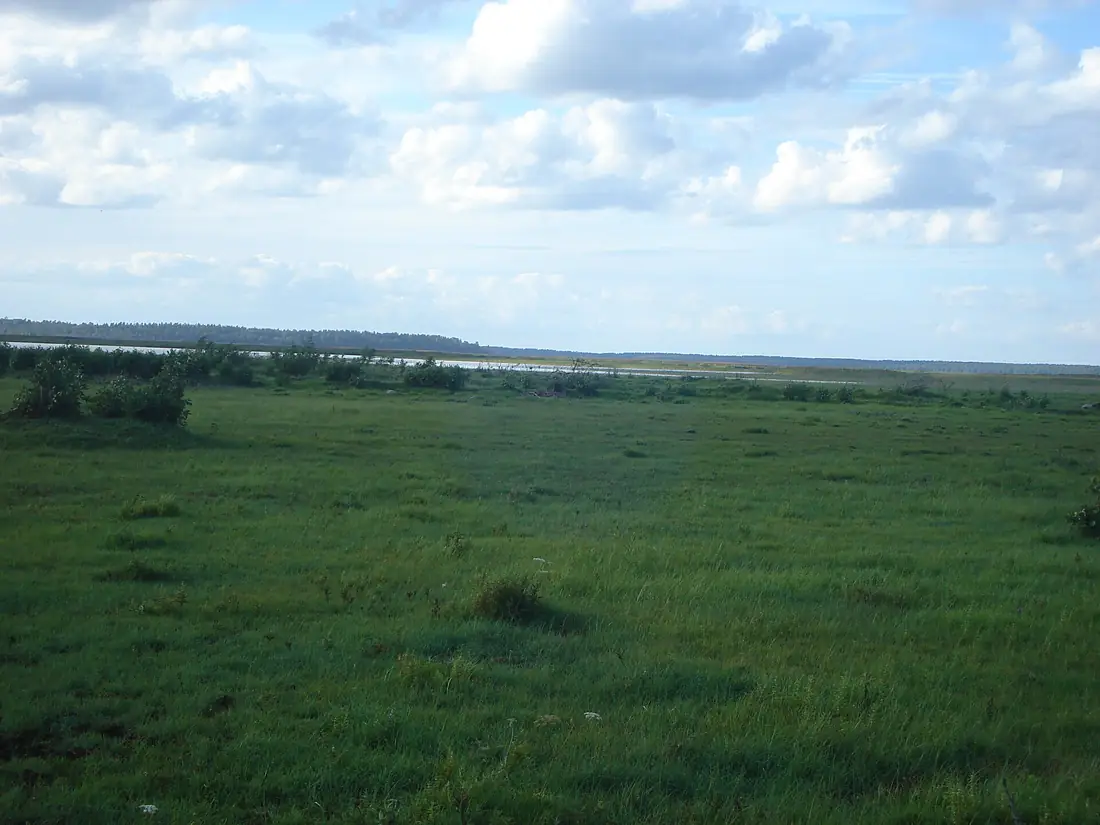 Engure parish, LV-3113, Latvia - panoramio
