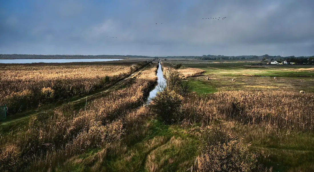 2021 Szeged Fehér-tó Kiskunság National Park hungary MD284 545