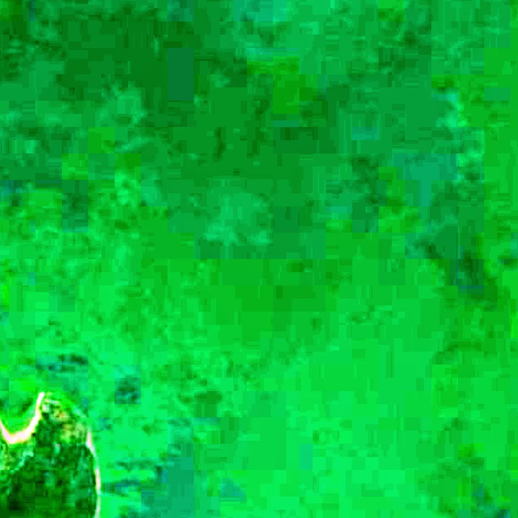 Lake George seen from above (Sentinel-2)