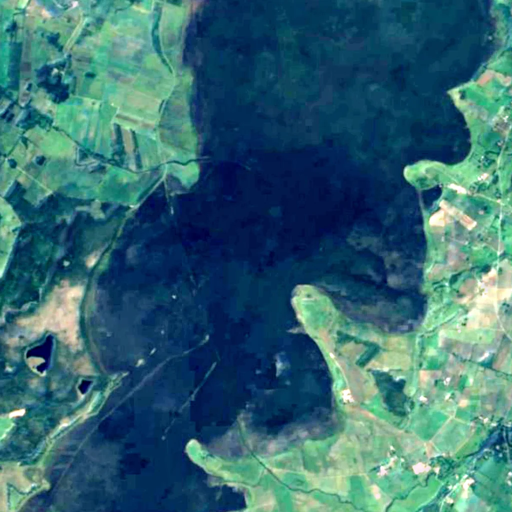 Lake Hornborga seen from above (Sentinel-2)