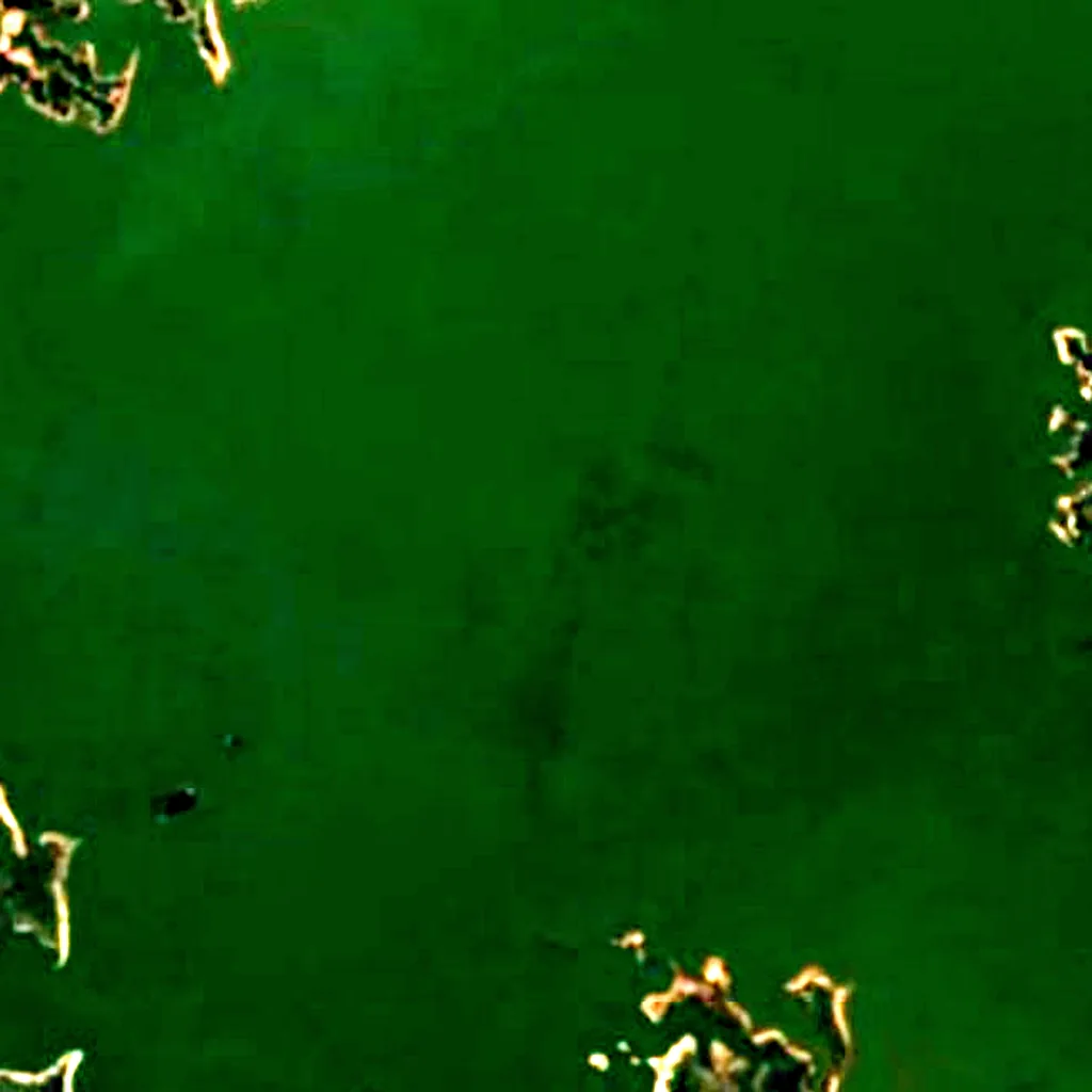 Lake Kinkony seen from above (Sentinel-2)