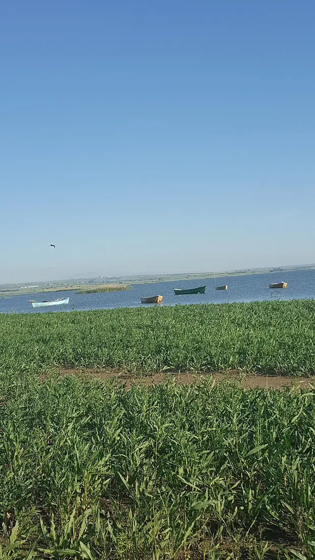 Balıkesir Manyas 2018 Nisan