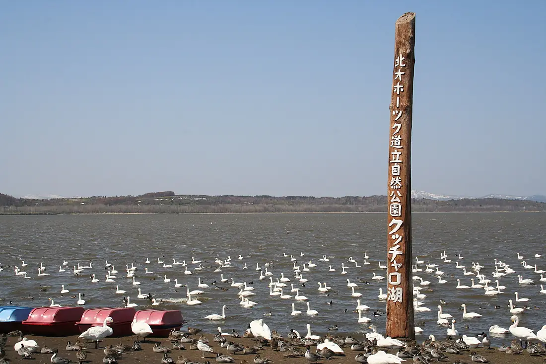 Lake Kuccharo