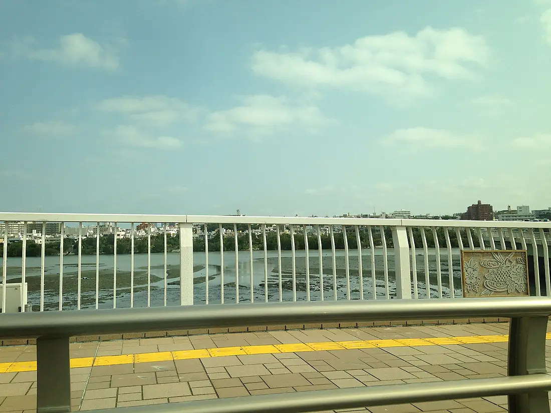 Manko Mudflat from Toyomi-Ohashi Bridge 20150318-2