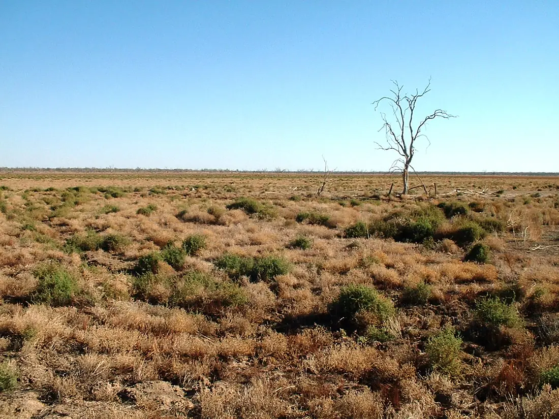 Waterhole Fort Grey