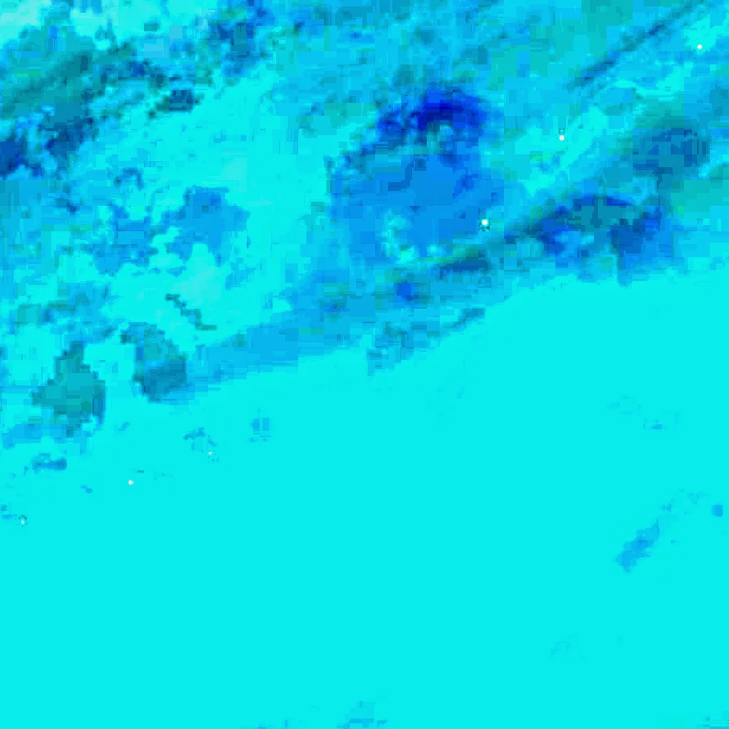 Lake Saint Pierre seen from above (Sentinel-2)