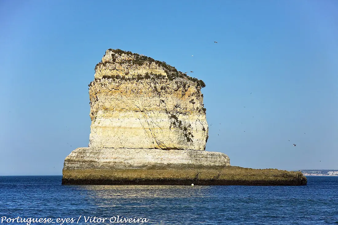 Litoral junto à Praia dos Caneiros - Portugal (9565375677)