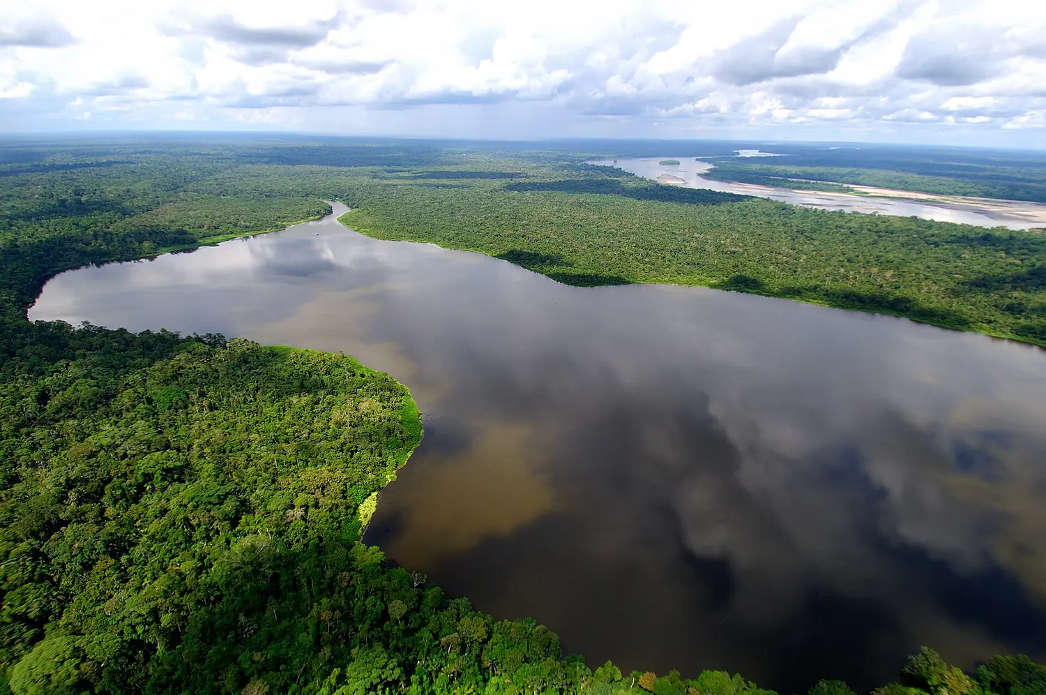 Amazonia ecuador