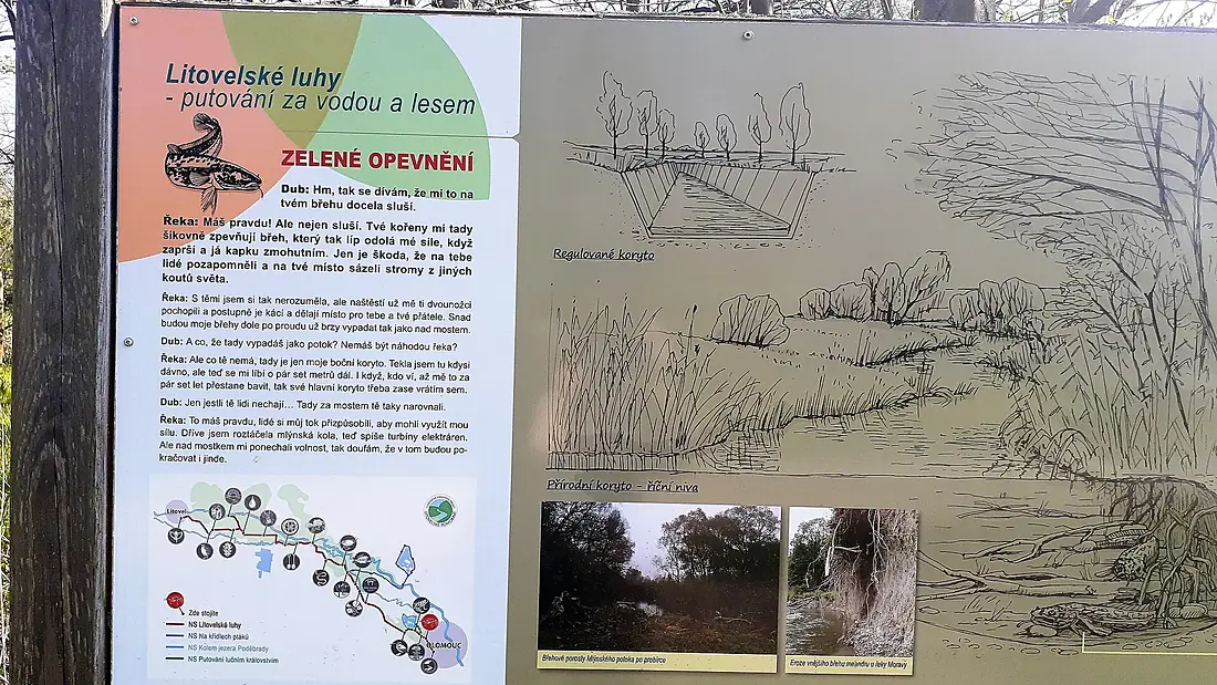 Informační tabule naučné stezky Litovelské luhy