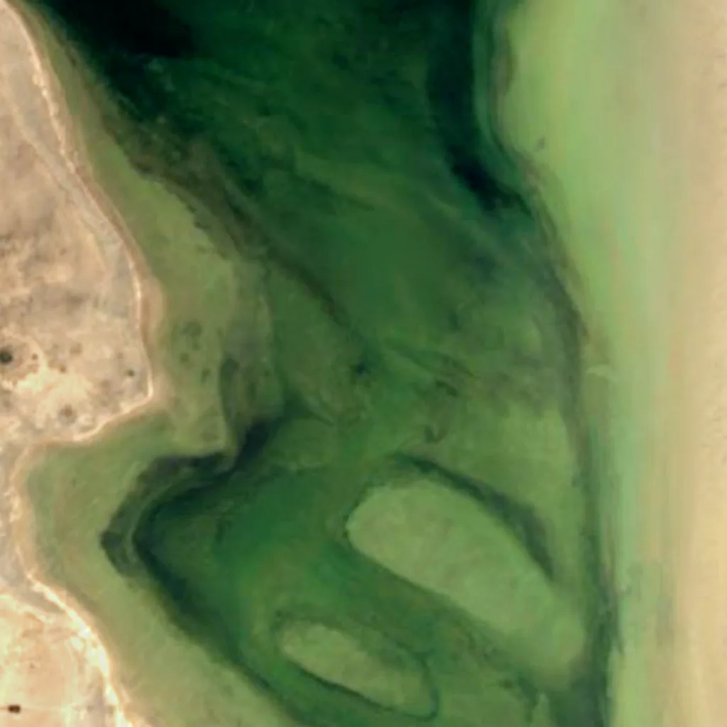 Llancanelo Lake seen from above (Sentinel-2)