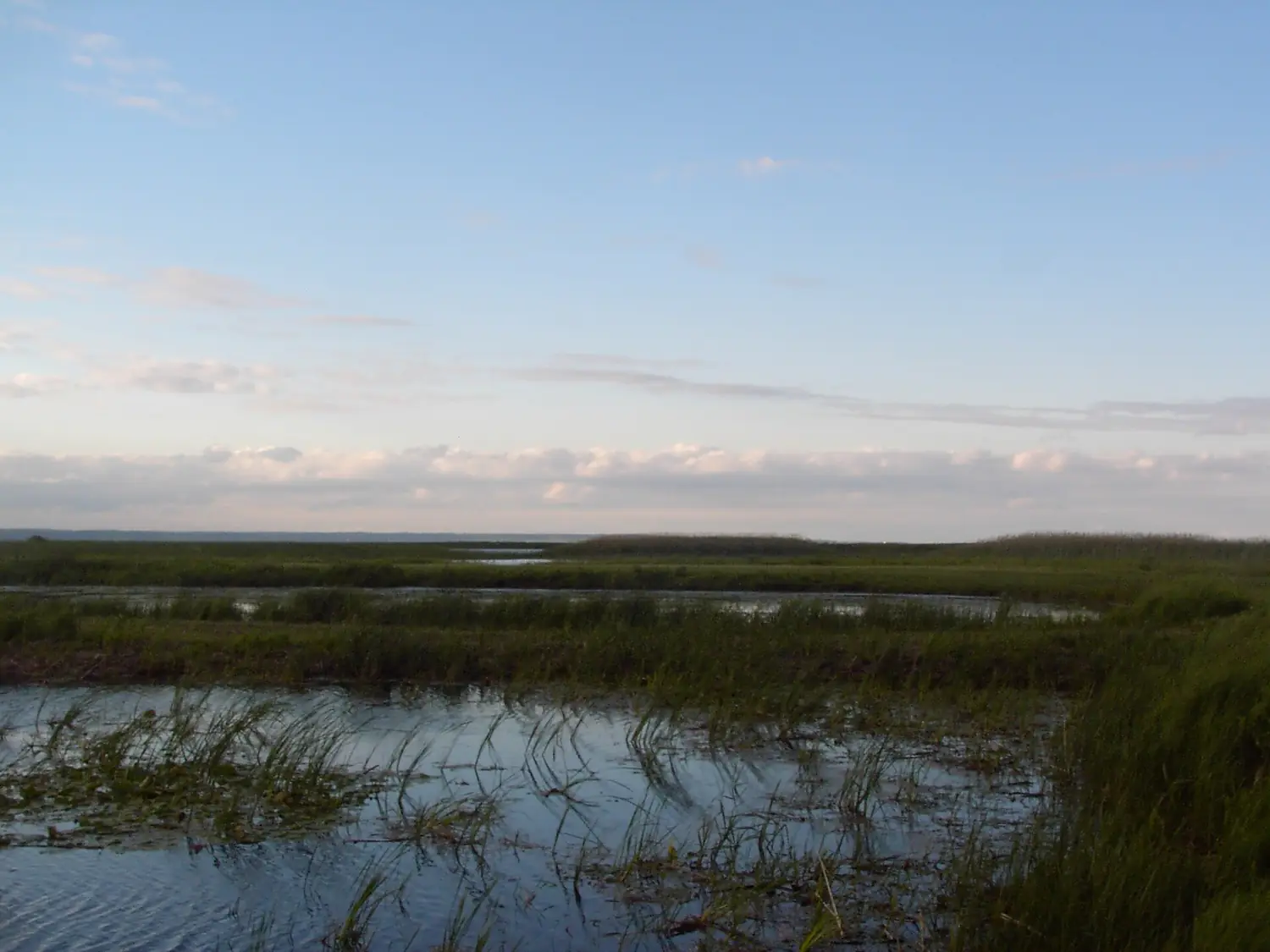 Long Point Marshes 2