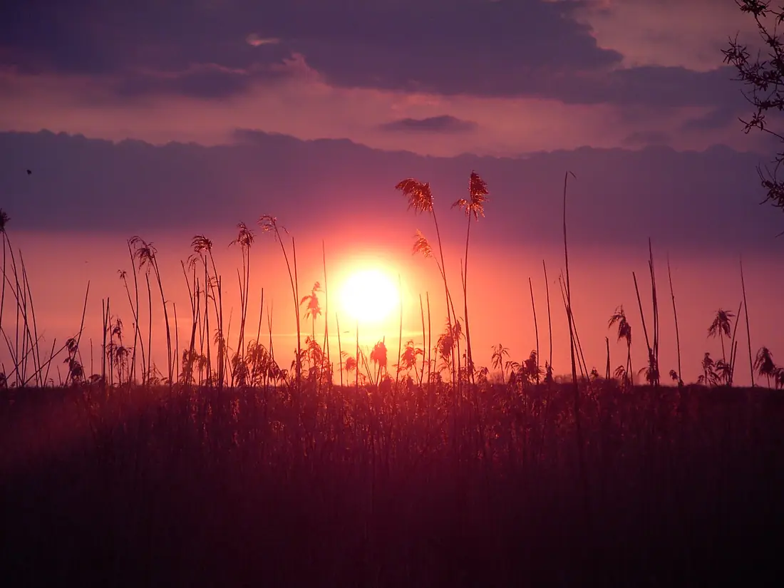 Long Point Sunset