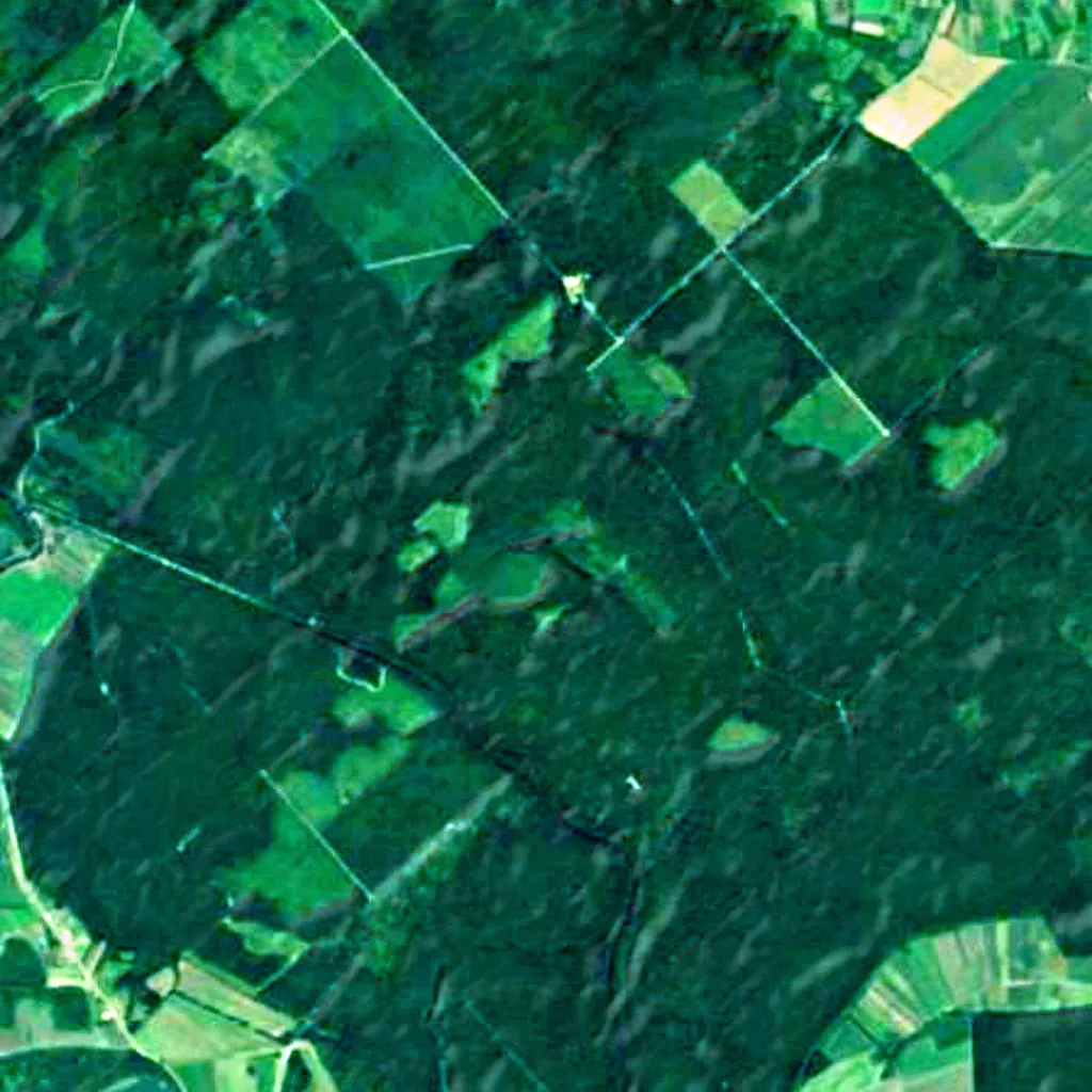 Lonjsko Polje Nature park seen from above (Sentinel-2)