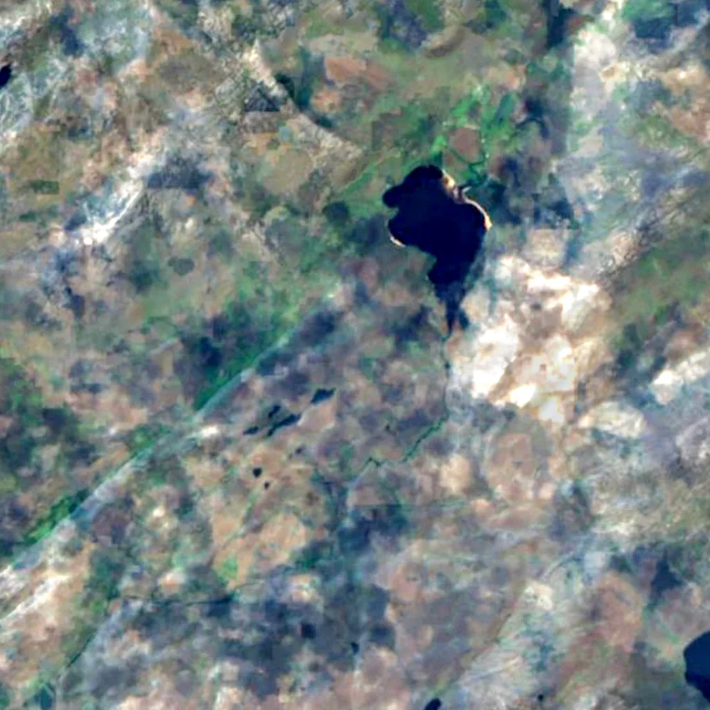 Lough Barra Bog seen from above (Sentinel-2)