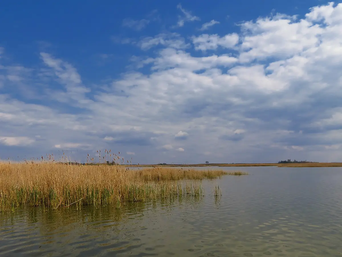 RP19 LudoskoJezero