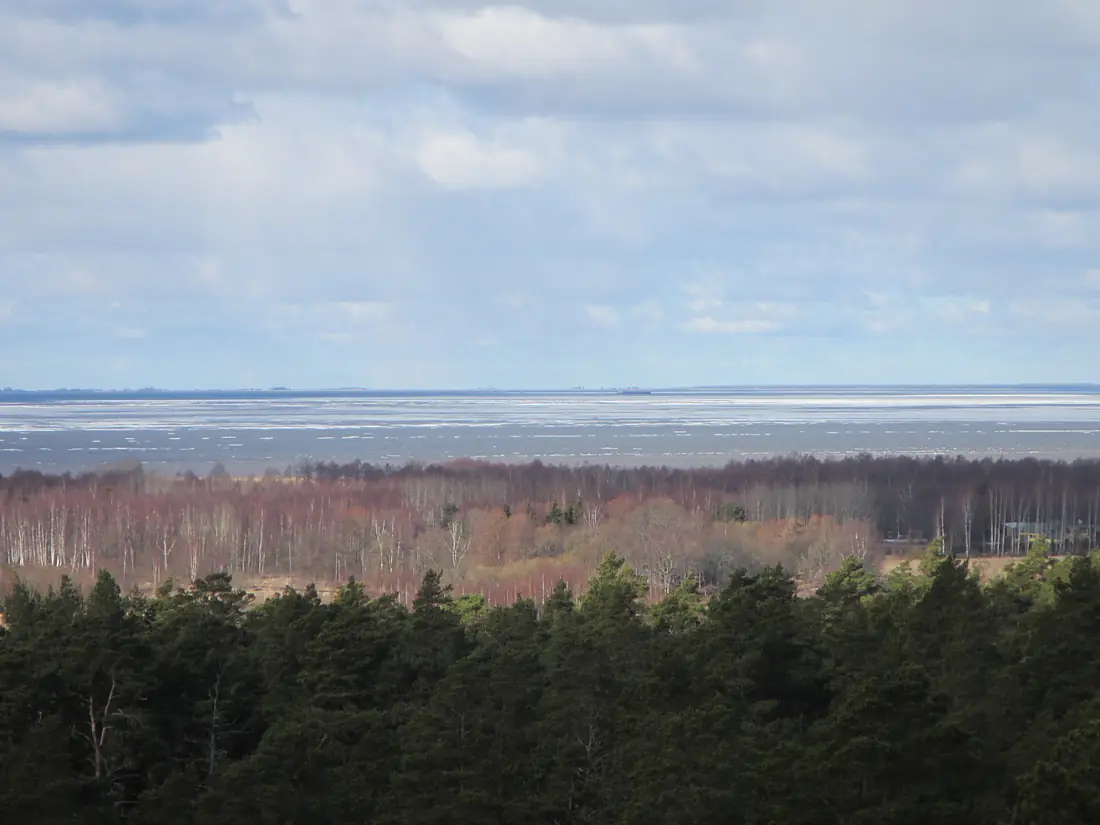 View from Rannametsa lookout tower in Tolkuse bog hiking trail - panoramio