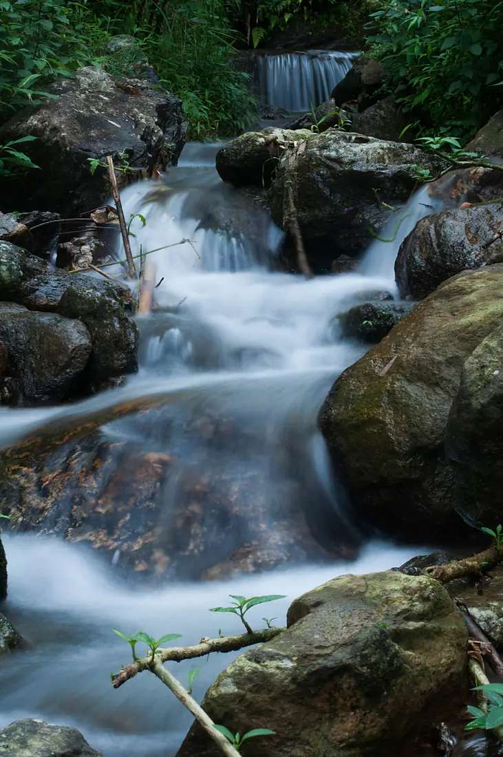 Local river