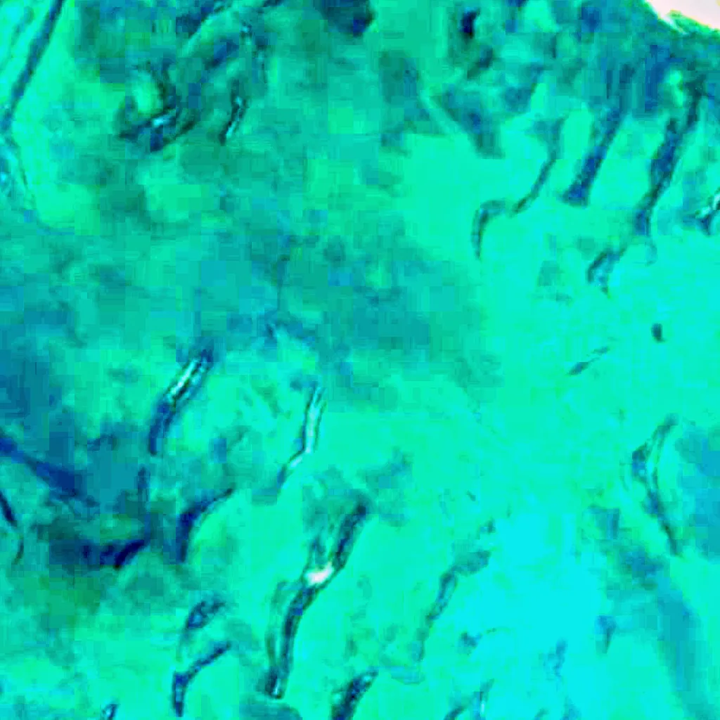 Manych-Gudilo seen from above (Sentinel-2)