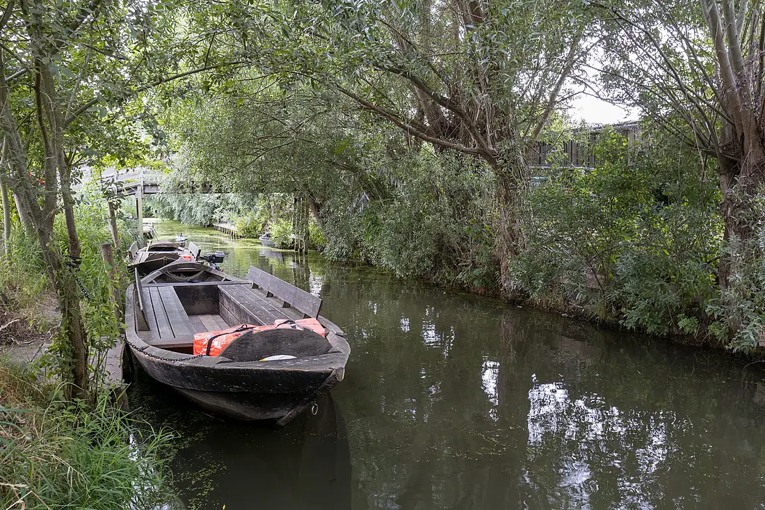 Bacôve du marais audomarois ,