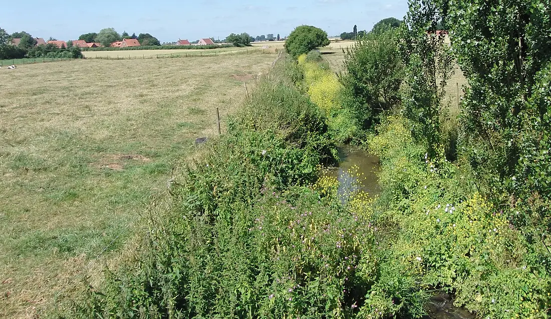 Noordpeene réserve biosphère du marais audomarois (1)
