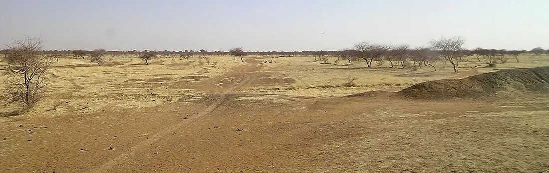 Paysage du sahel sur la route d'Oursi