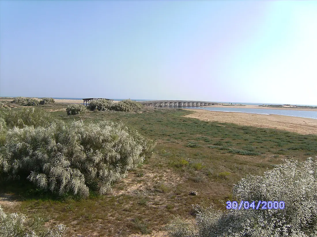 Marisma de Isla Cristina con puente de madera al fondo