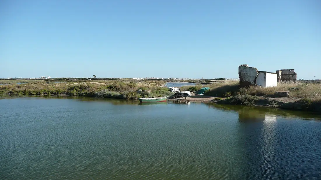 Marismas de Isla Cristina