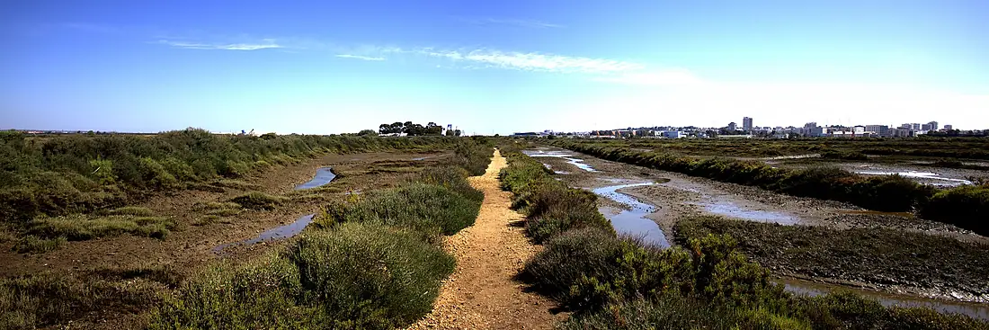 Marismas del Odiel 01
