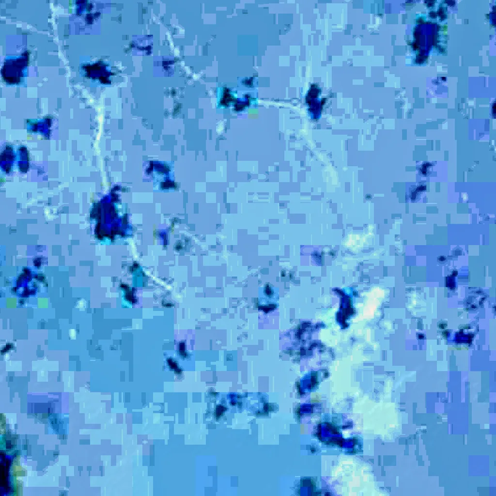 Melincué Lake seen from above (Sentinel-2)