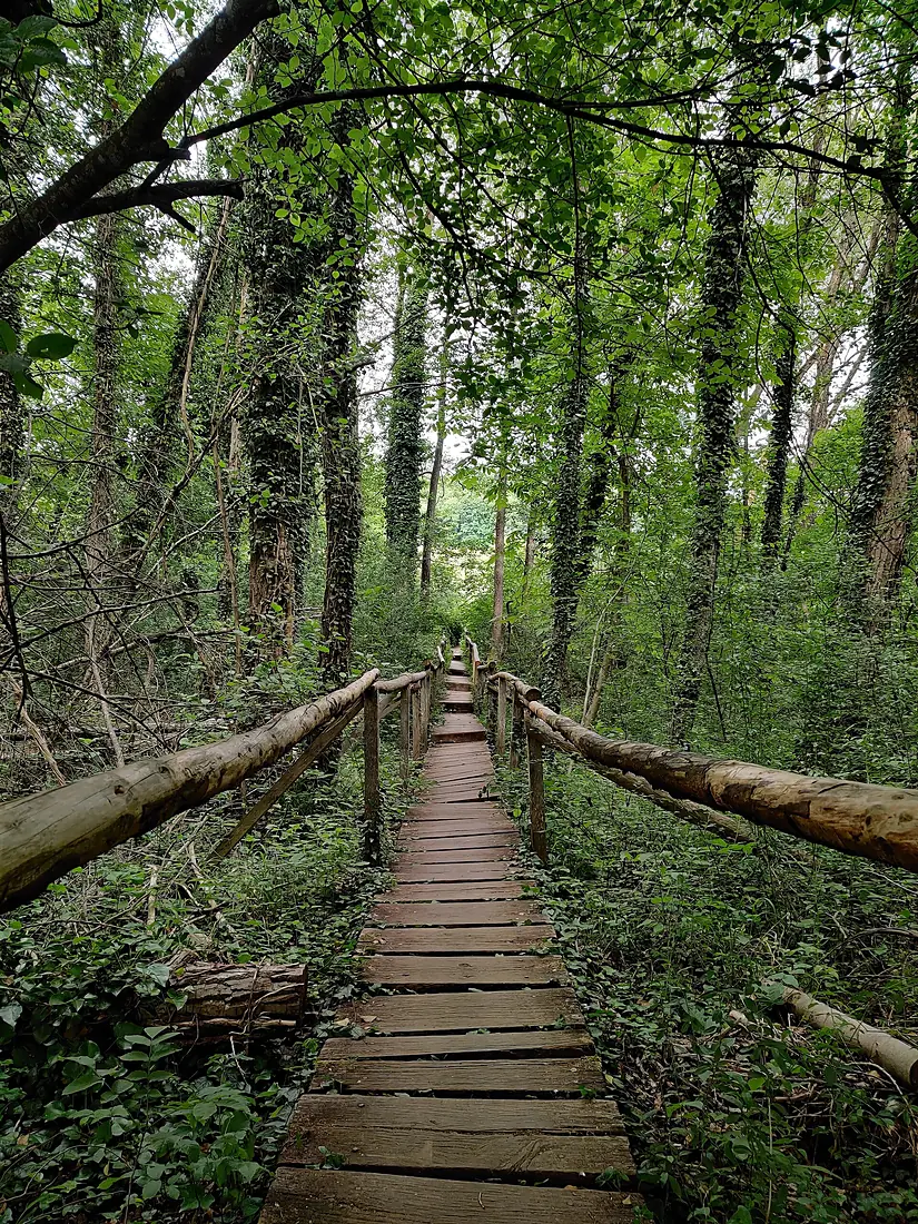 Brücke am Mindelsee