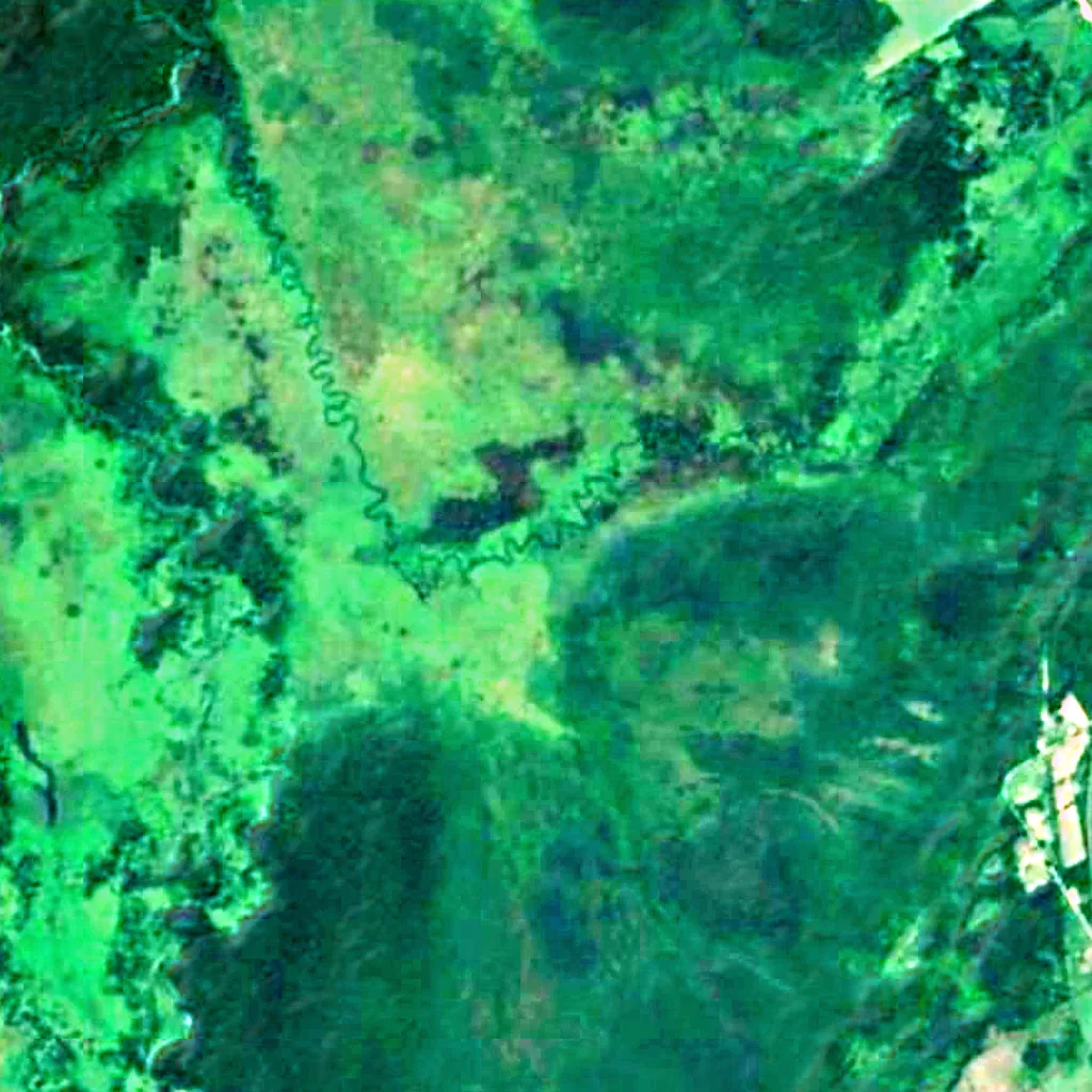 Minesing Wetlands seen from above (Sentinel-2)
