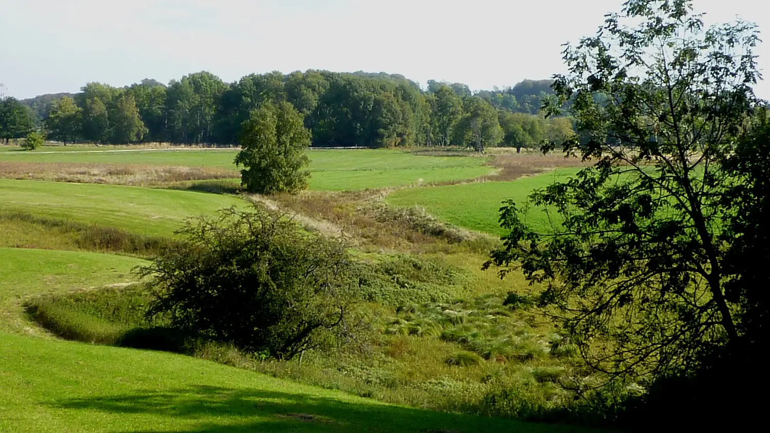 Lenningen - Naturschutzgebiet Schopflocher Moor, Torfgrube