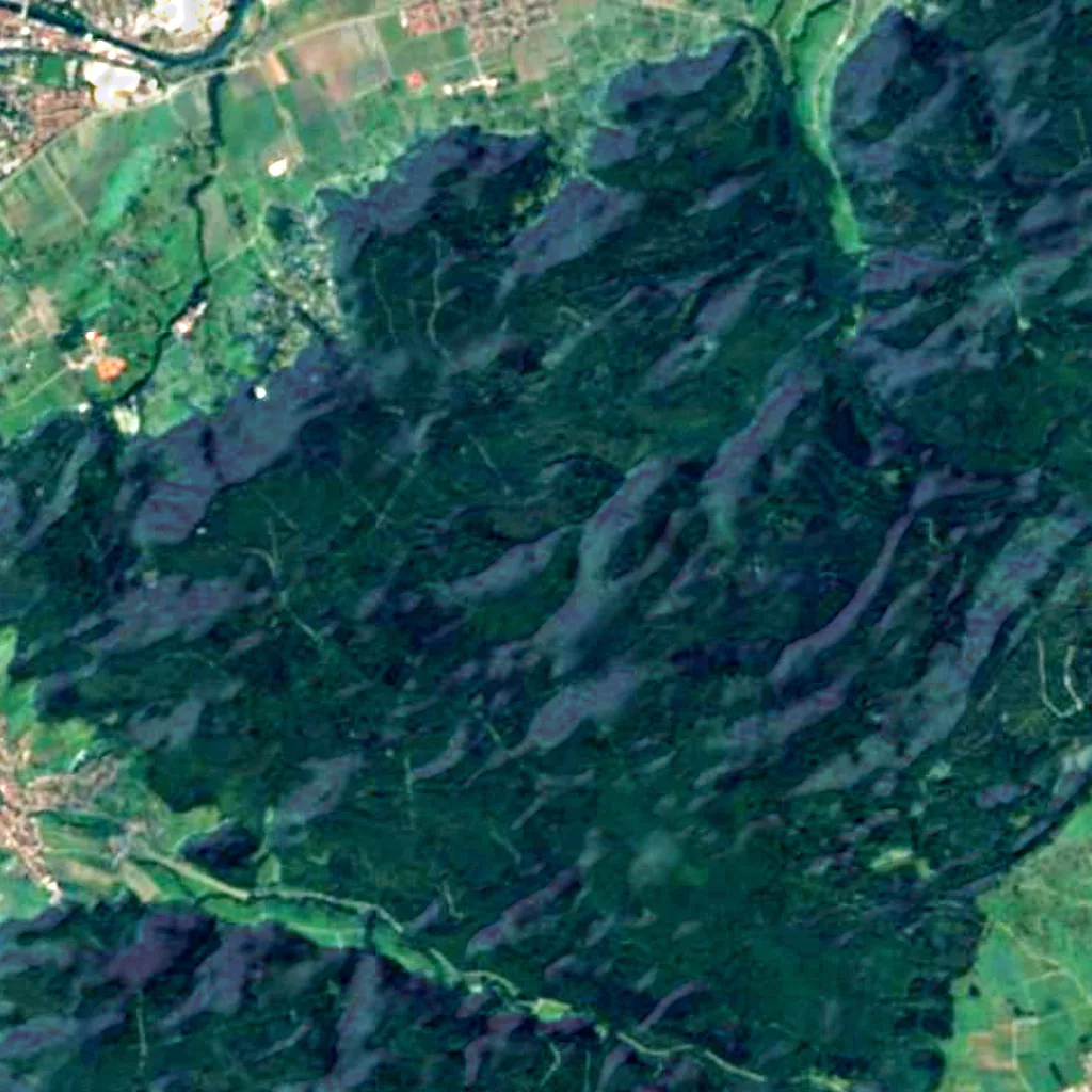 Mittlerer Rammert seen from above (Sentinel-2)
