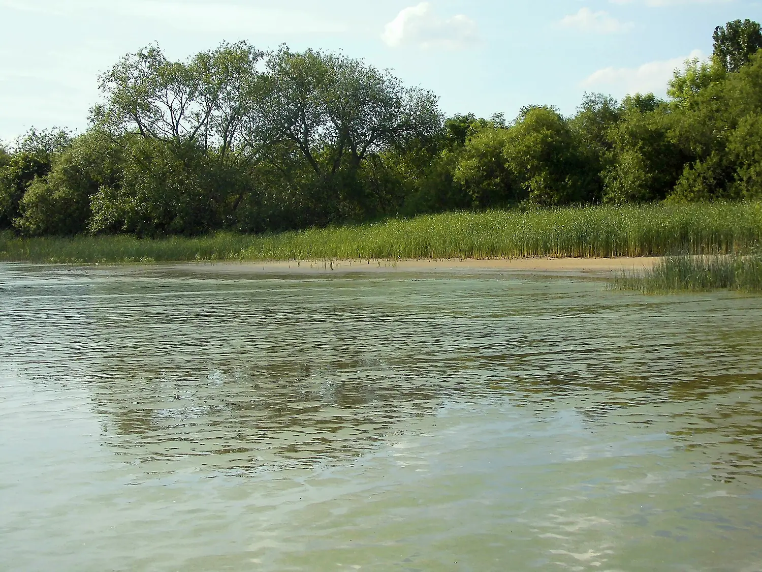Schweinesand, Mühlenberger Loch (2)