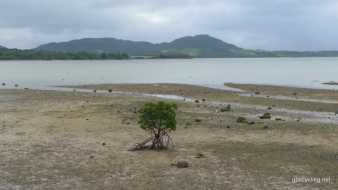 名蔵湾 - panoramio