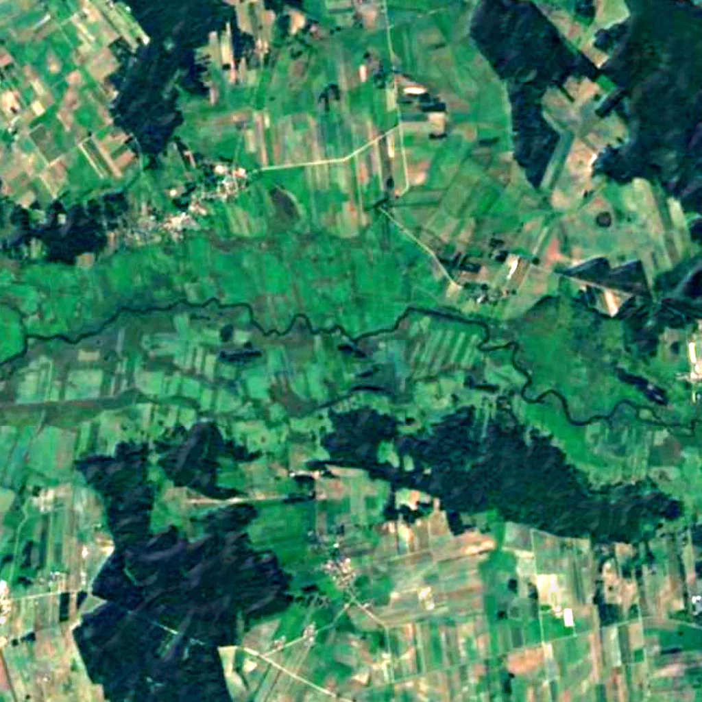 Narew National Park seen from above (Sentinel-2)