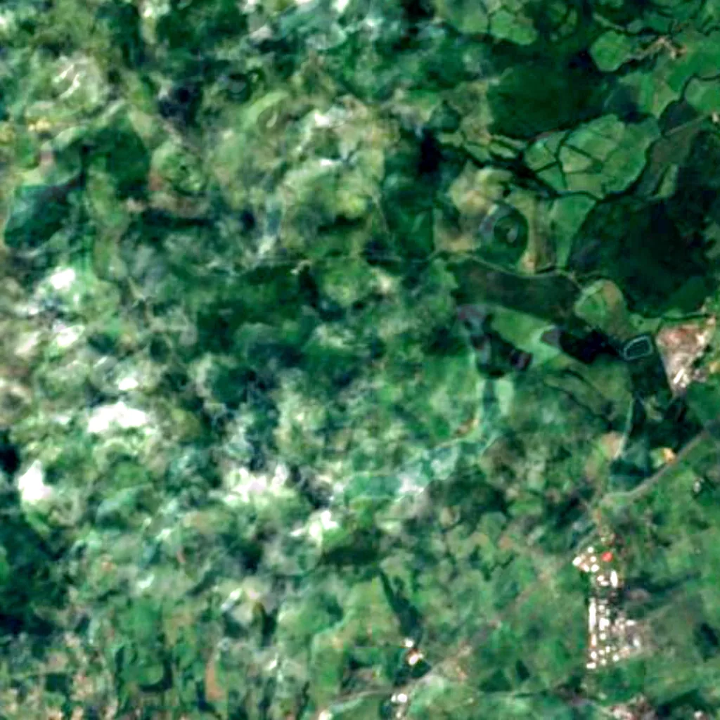 Nature Park of Terceira seen from above (Sentinel-2)