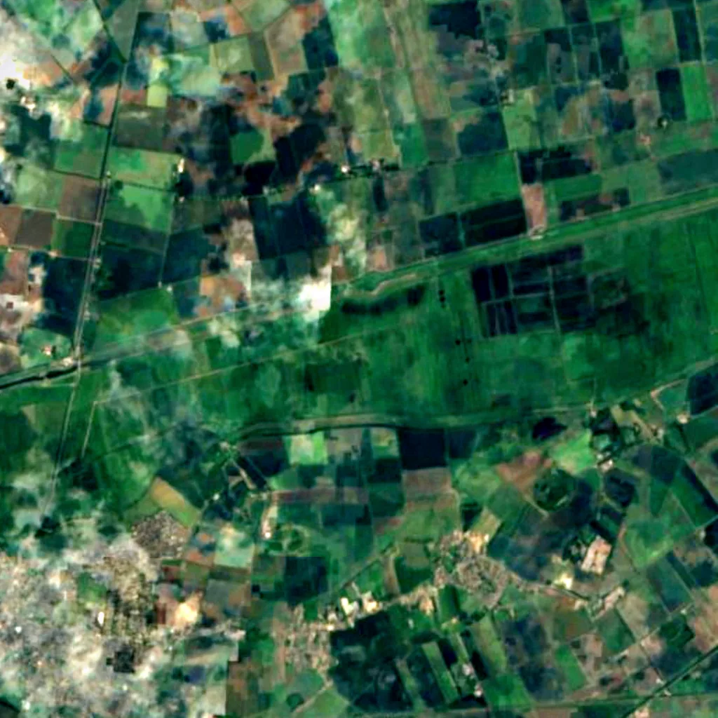 Nene Washes seen from above (Sentinel-2)
