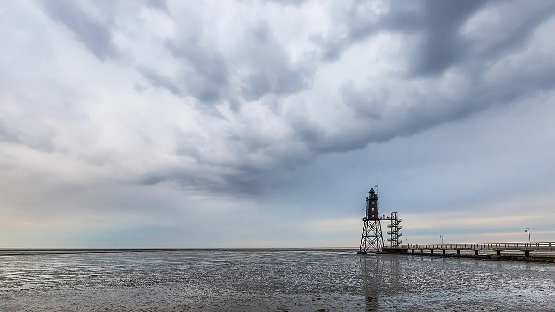 Vogelschutzgebiet Niedersächsisches Wattenmeer und angrenzendes Küstenmeer-msu-2023-0I9a0600-0600