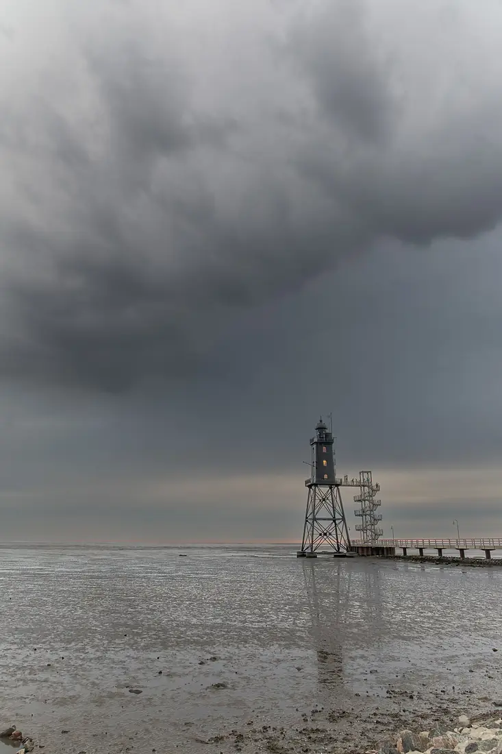 Vogelschutzgebiet Niedersächsisches Wattenmeer und angrenzendes Küstenmeer-msu-2023-0I9a0582-