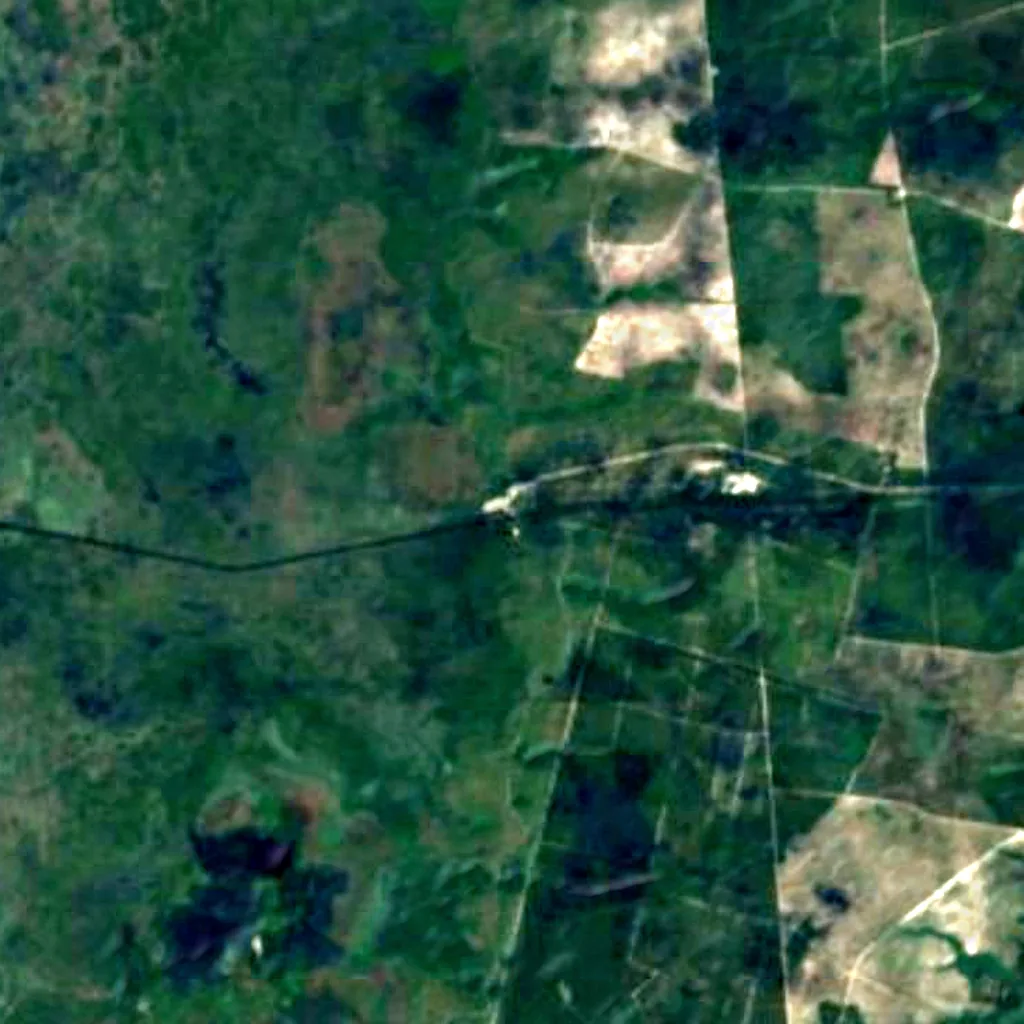 Okefenokee National Wildlife Refuge seen from above (Sentinel-2)