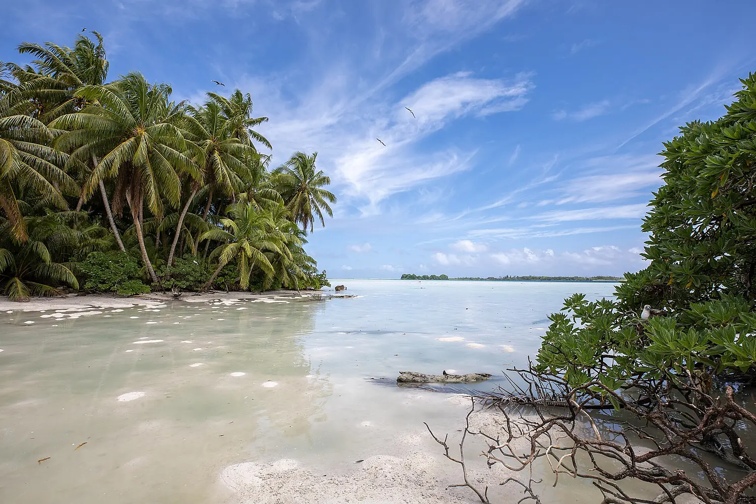 Ansicht des Palmyra Atoll National Wildlife Refuge, Vereinigte Staaten