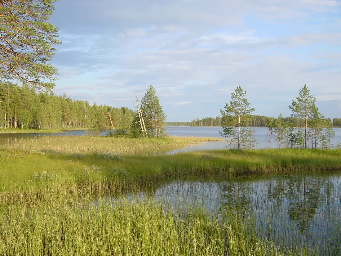 Patvinsuo Suomunjärvi 1