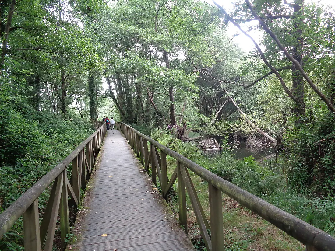 Camino de la Playa de la Concha de Artedo 02