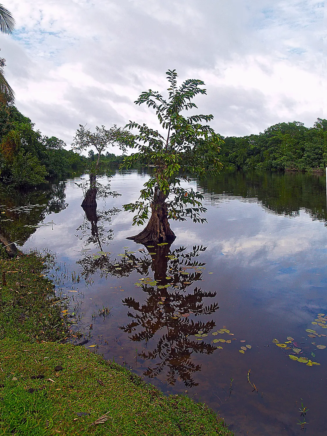 Parque Nacional Punta Izopo 01