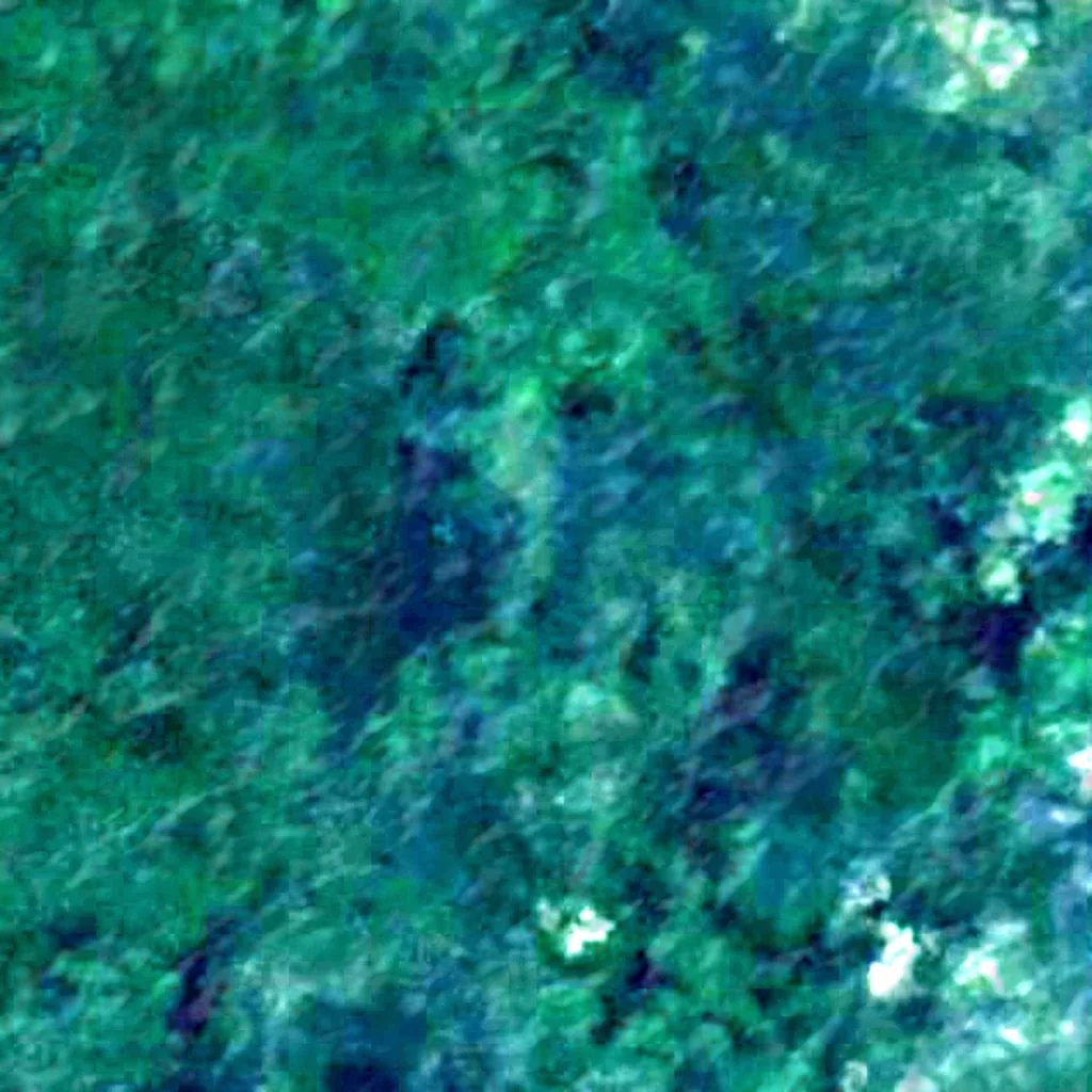 Punta Patiño seen from above (Sentinel-2)