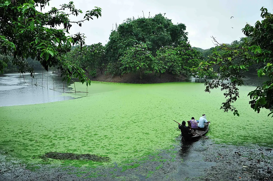 Oxbow Lake at Raiganj Wildlife Sanctuary 1