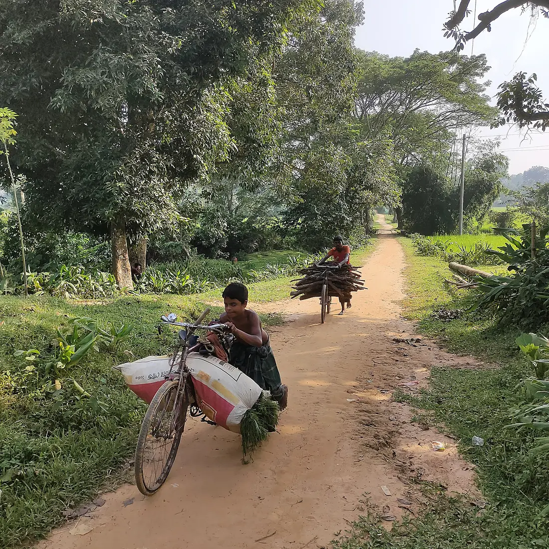 Livelihood of informal communities living in Rema Kalenga Wildlife Sanctuary (RKWS)