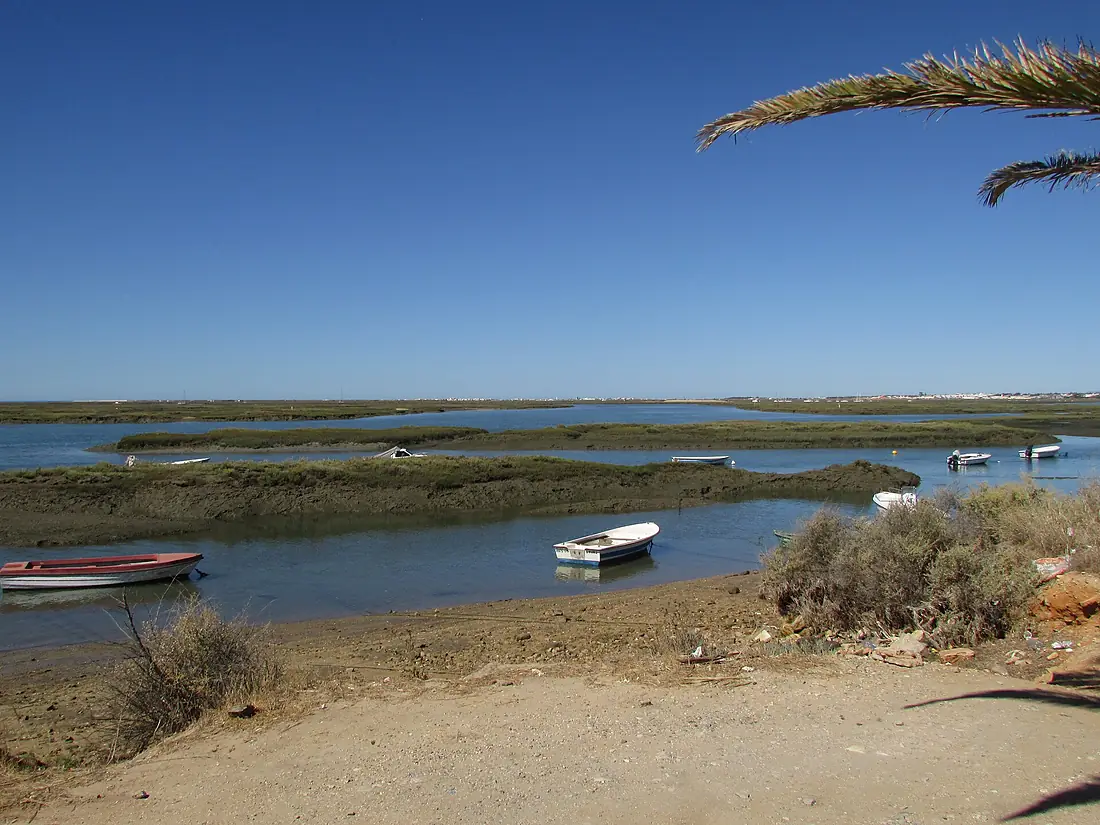 12-09-2017 Ria Formosa, Faro (1)